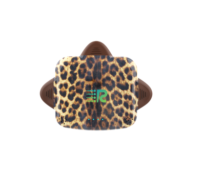 Dennis Basso x Rush Charge Collab